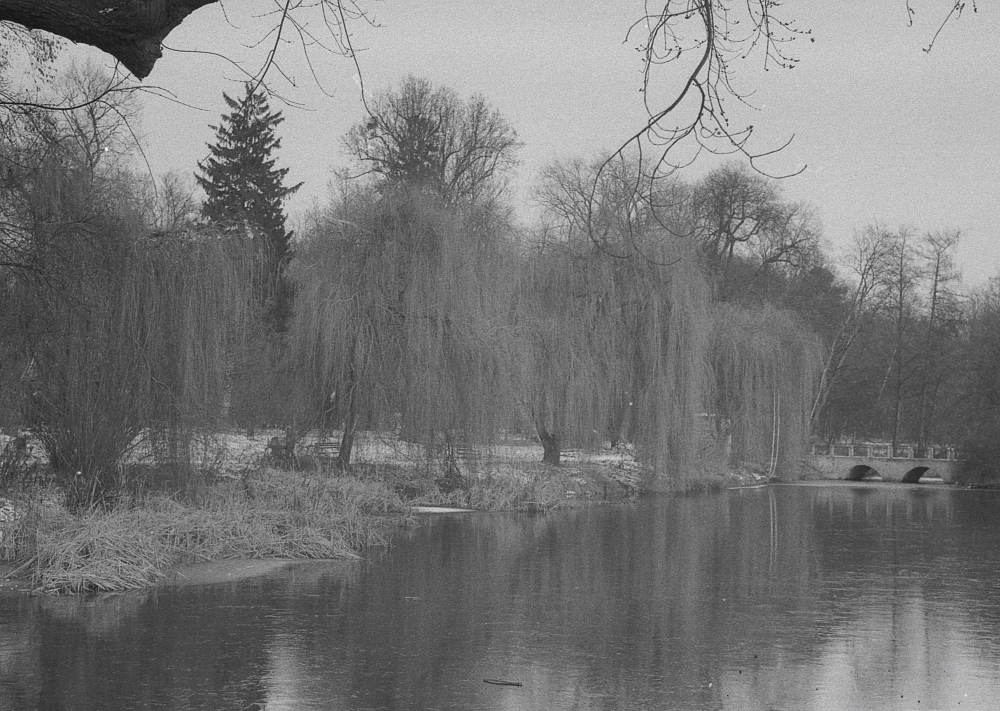 fotografia analogowa, czarno-biała fotografia, pasja do fotografii, wywoływanie zdjęć, fotografia artystyczna