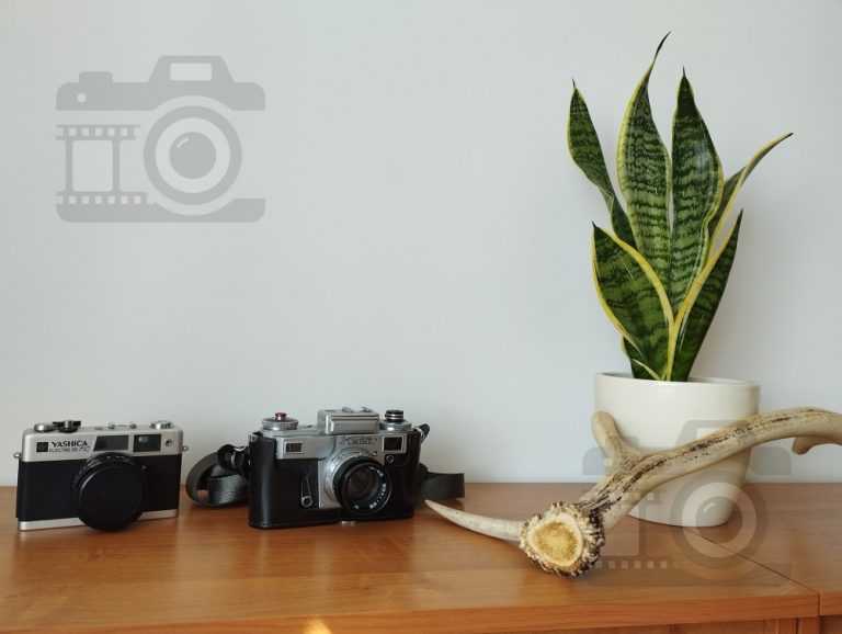 fotografia analogowa - jak zacząć