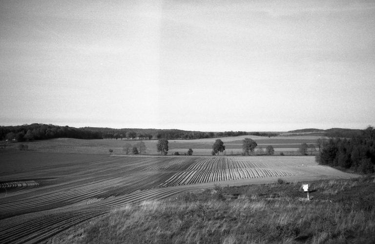 Kentmere 100 – czarno-biały film analogowy o drobnym ziarnie i klasycznej estetyce.