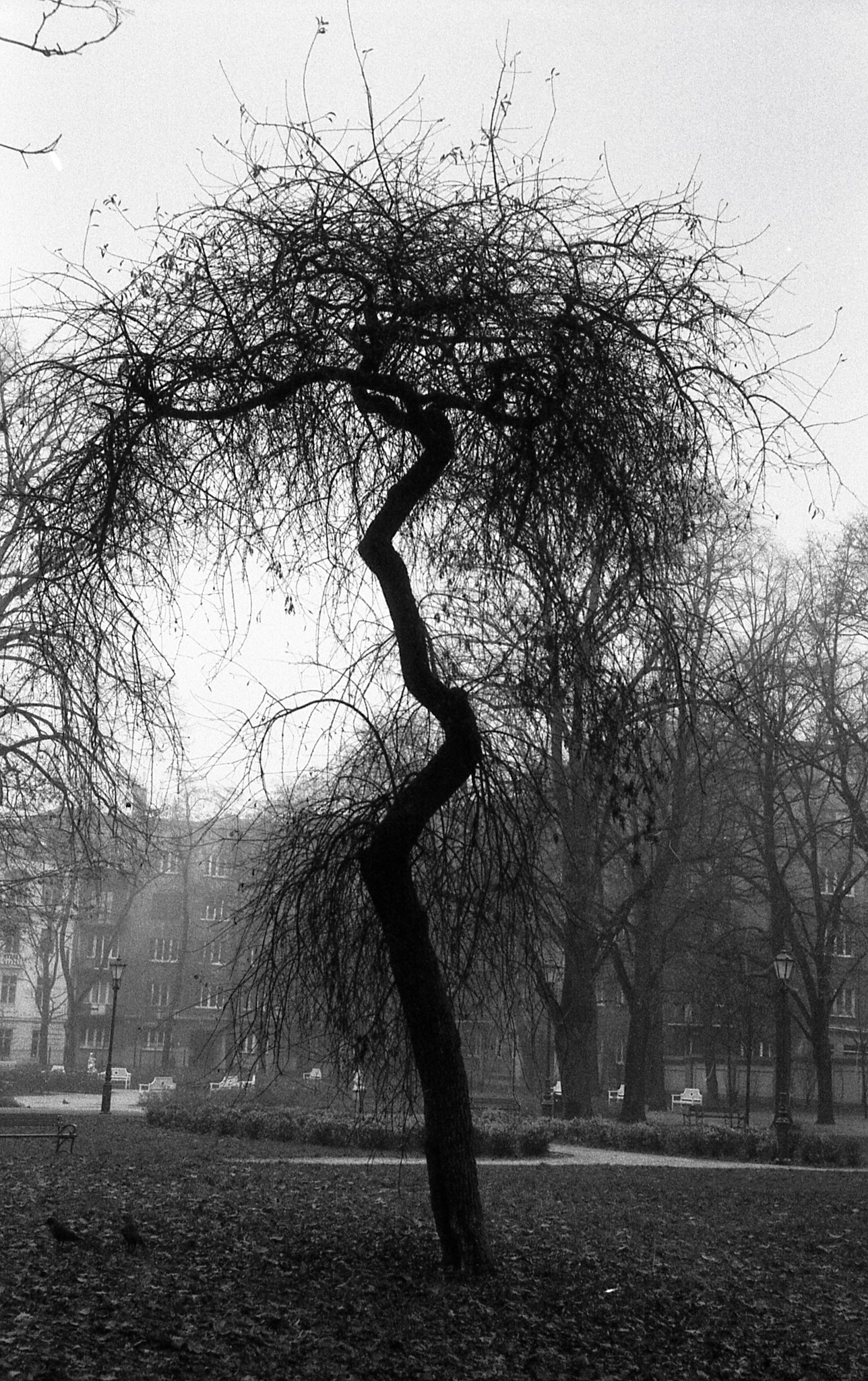 Fotografia analogowa to świadomość wyboru.