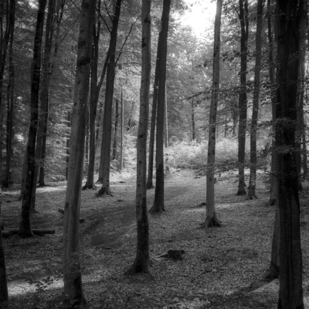 fotografia analogowa lodz