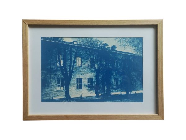 Cyjanotypia. Księży Młyn Łódź.