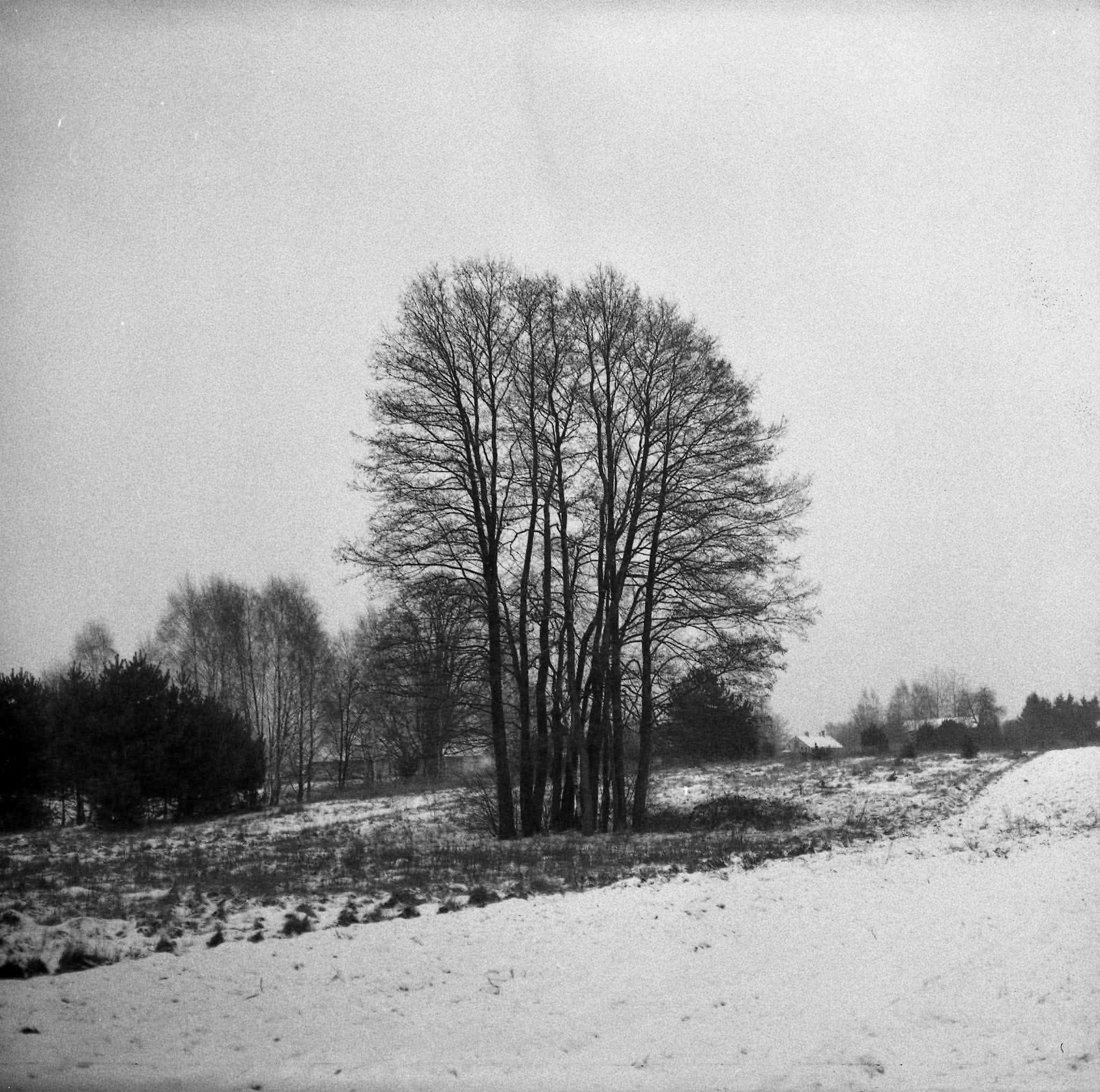 Pentacon six tl