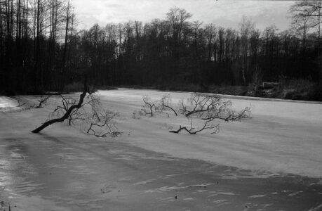 krajobraz nad rzeką grabią