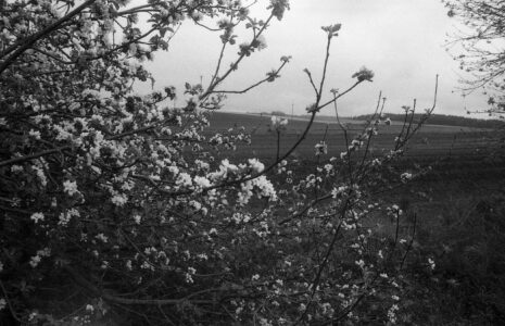 fotografia analogowa kołobrzeg